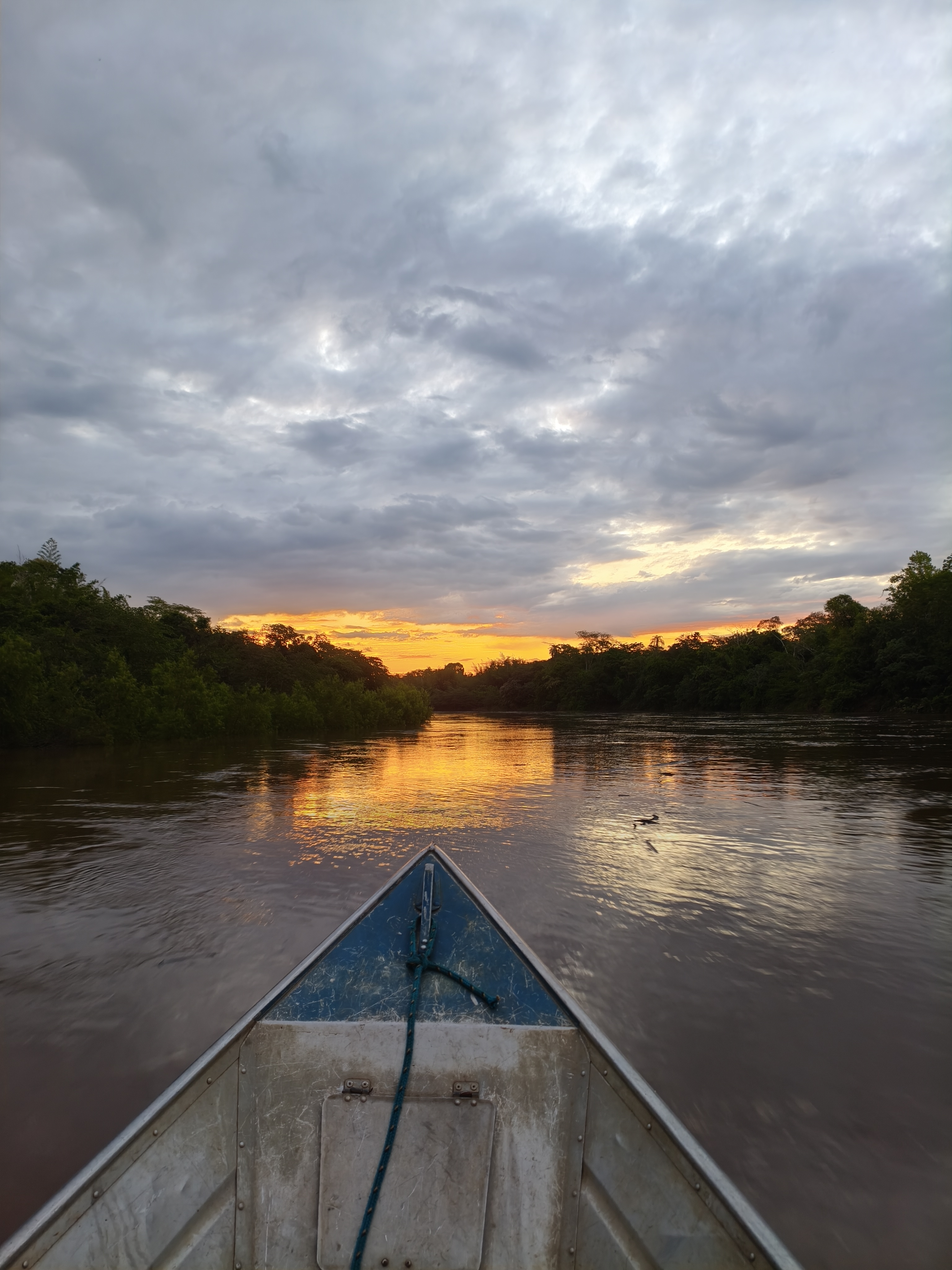 Imagem da galeria — Pescarias